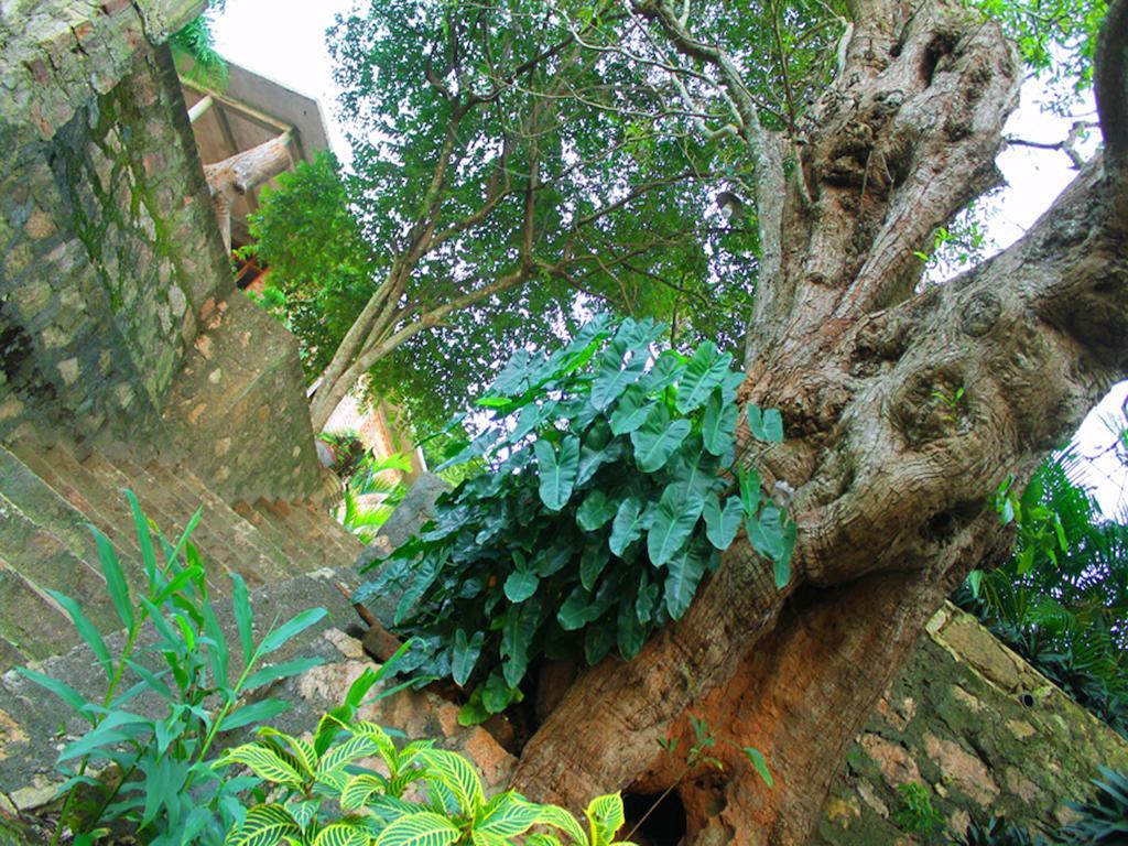 Mount View Hotell Polonnaruwa Exteriör bild